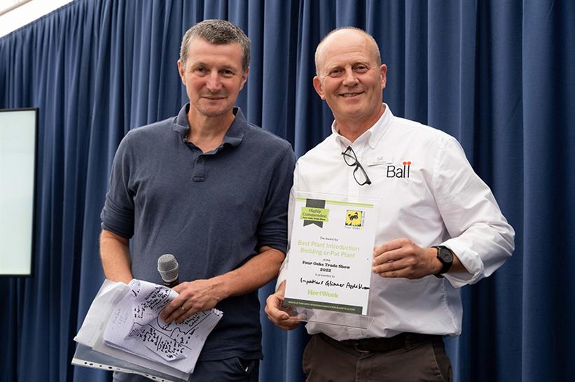 Best bedding and pot plant highly commended: Ball's Impatiens Glimmer Appleblossom